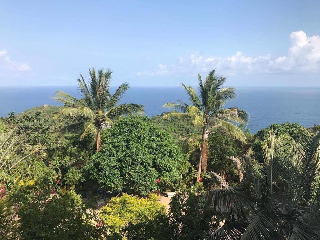 New Pop Villas, Koh Tao Værelse billede
